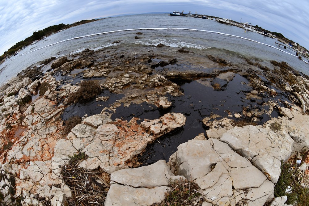 Čišćenje obale u Ližnjanu (snimio Milivoj MIJOŠEK)